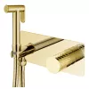 Смесители: Душ гигиенический Boheme STICK DIAMOND 127-GG 1 в магазине Акватория