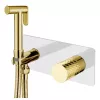 Смесители: Душ  гигиенический Boheme STICK DIAMOND 127-WG 1 в магазине Акватория