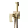 Смесители: Смеситель ABBER Wasserfall AF8625G с гигиеническим душем, золото матовое 1 в магазине Акватория