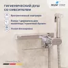 Смесители: Гигиенический душ со смесителем RGW SP-221 1 в магазине Акватория