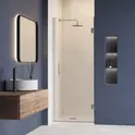 Душевая дверь RGW HO-011