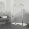 Душевая перегородка RGW WA-12G