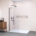 Душевая перегородка RGW WA-102B