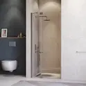 Душевая дверь RGW HO-014Gr