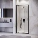 Душевая дверь RGW LE-102B