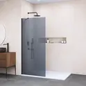 Душевая перегородка RGW WA-102B