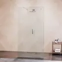 Душевая перегородка RGW WA-016