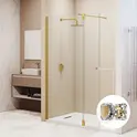 Душевая перегородка RGW WA-054Gb (WA-010Gb + Z-072Gb) прозрачное/золото