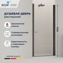 Душевая дверь RGW Dolphin TN-03B