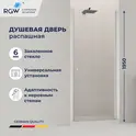 Душевая дверь RGW Dolphin TN-03 прозрачное/хром
