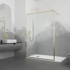 Душевая перегородка RGW WA-12G