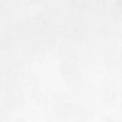  Керамогранит Бореаль / Boreal Светло-сер. 60x60 _ 1\43,2