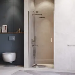 Душевая дверь RGW HO-014