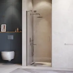 Душевая дверь RGW HO-014Gr