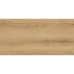 Керамогранит Вуди GT5010026902MCR бежевый 50x100 _ 1\54