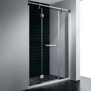 Душевая дверь RGW VI-02