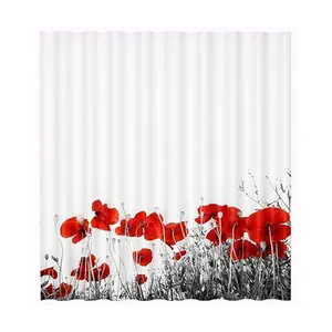 Шторка для ванной WasserKRAFT Main SC-47101