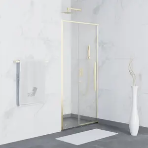 Душевая дверь RGW SV-12G