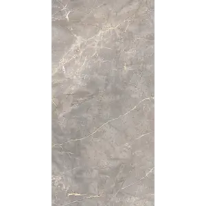 Керамогранит Сакраменто / Sacramento Серый 120x60 карвинг_ 1\43,2