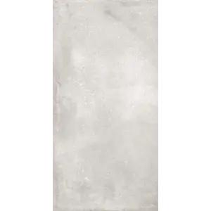 Плитка грес глаз. Forza_GT Серый 60*120 карвинг