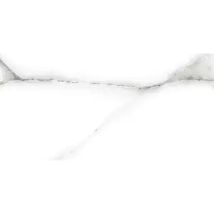 Плитка облиц. Tonic GT Серый  50*25