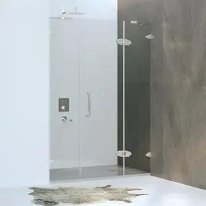 Душевая дверь RGW SA-01