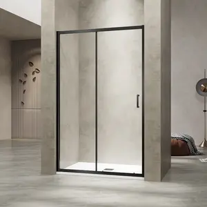 Душевая дверь RGW PA-114-B прозрачное/черный