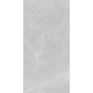  Керамогранит Ниоба / Nioba Серый 60x120 _ 1\40,32