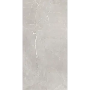 Керамогранит Согдиана / Sogdiana Серый 60x120 _ 1\40,32