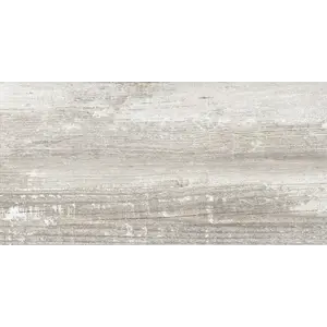 Керамогранит Антарес / Antares Сер. 30x60  1\58,32