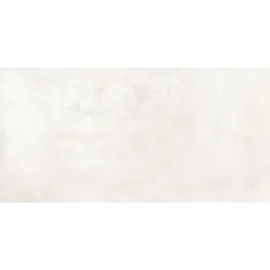  Керамогранит Онега / Onega Светло-сер. 40x80 _ 1\38,4