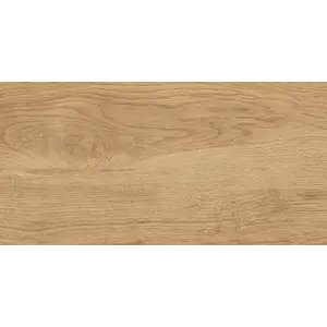 Керамогранит Флорида / Florida Беж. 30x60  1\58,32