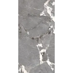  Керамогранит Пегас / Pegasus Сер. 60x120 _ 1\46,08