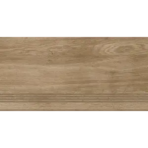 Ступень кер. Нострум / Nostrum Беж. 30x60 _ 1\6