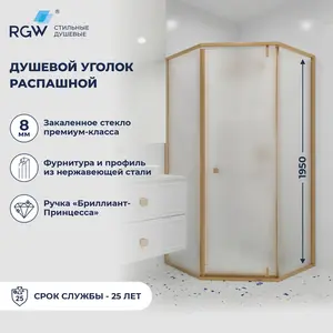 Душевой уголок RGW HO-088Gb матовое/золото