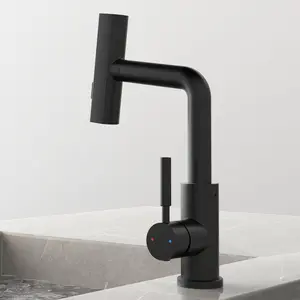 Смеситель для раковины Black&White SD3028B