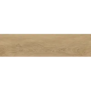 Керамогранит Балтик / Baltic GT208021210MСR темно-беж. 19,8x80 _ 1\57,024