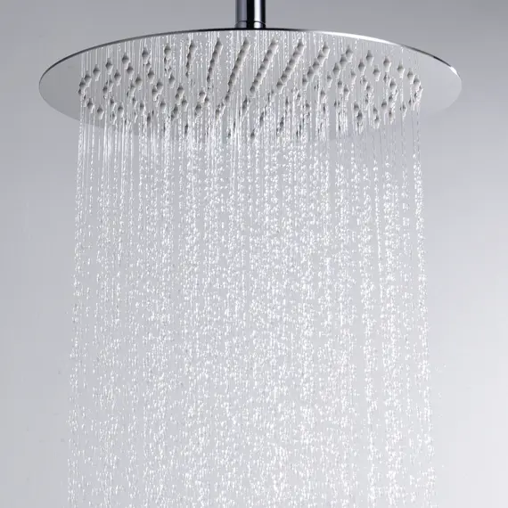 Душевая насадка WasserKRAFT Аксессуары для душа A116