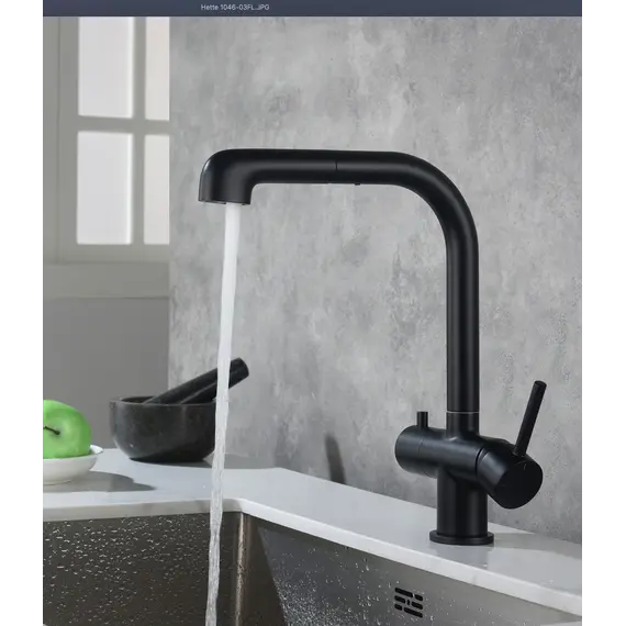 Смеситель для кухни с подключением фильтра и выдвижной лейкой Timo Saona 2346/03FL