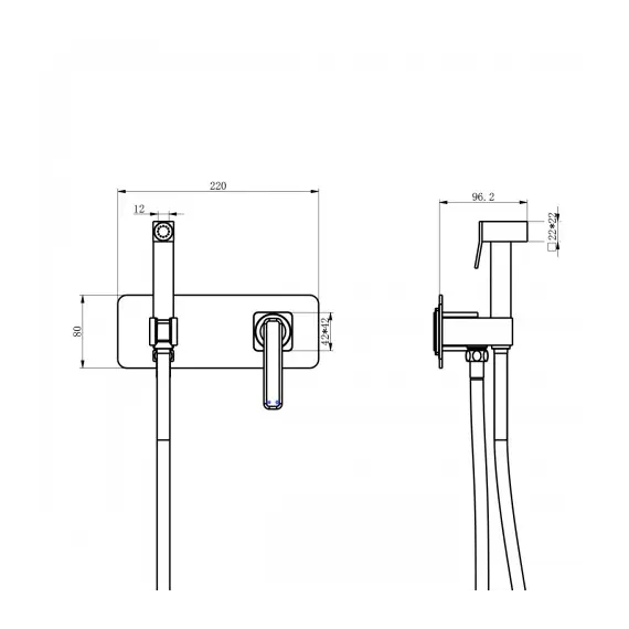 Смеситель Lemark Mista LM6419WG с гигиеническим душем, встраиваемый