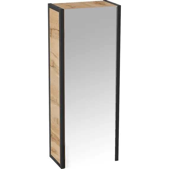 Пенал зеркальный 1Marka GRUNGE LOFT 35П 1д