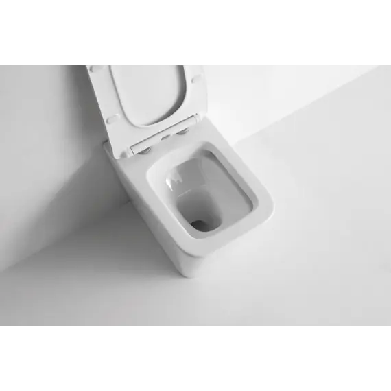 Унитаз приставной CeramaLux 3170