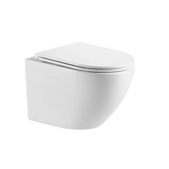 WW MERZBACH 043 GL-WT Унитаз подвесной