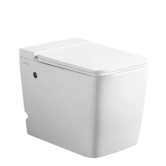 Унитаз ABBER Rechteck AC1212P приставной белый с импульсным смывом