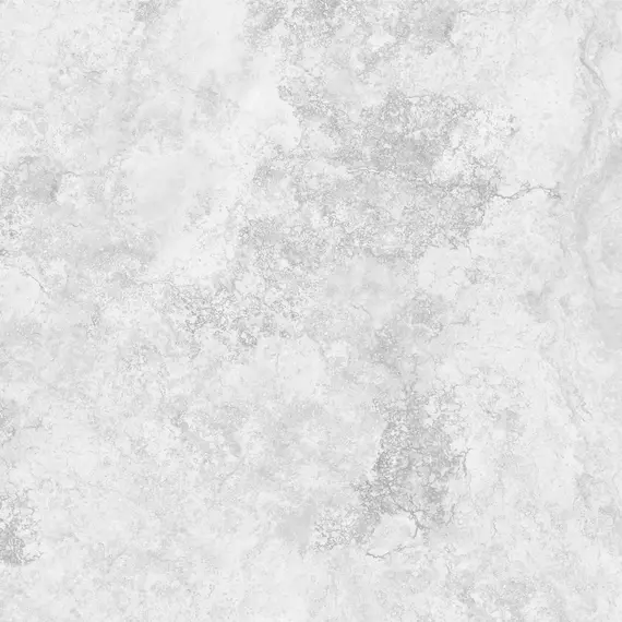 Керамогранит Терме / Terme Серый 60x60 _ 1\43,2