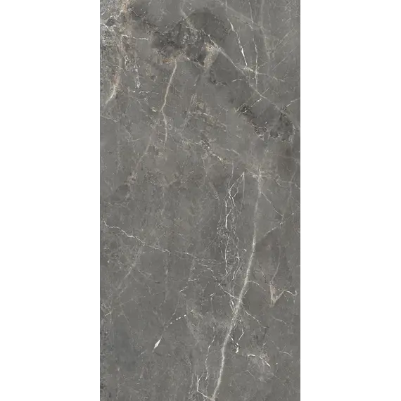  Керамогранит Тюльпан / Tulip Темно-сер. 60x120 _ 1\46,08