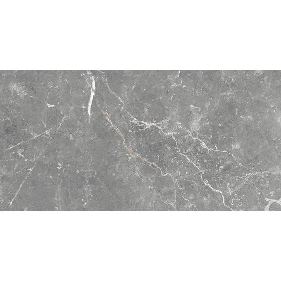 Настенная плитка Капелла / Capella Сер. 25x50 _ 1\74,25