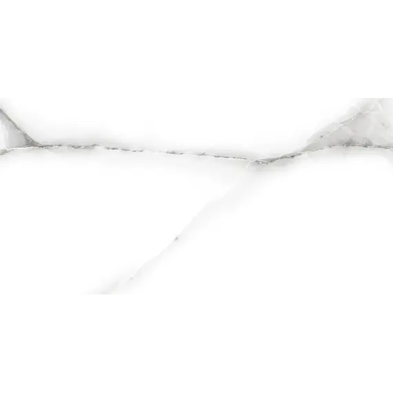 Плитка облиц. Tonic GT Серый  50*25