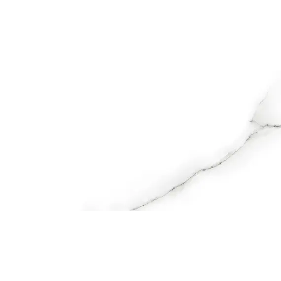 Плитка облиц. Tonic GT Серый  50*25