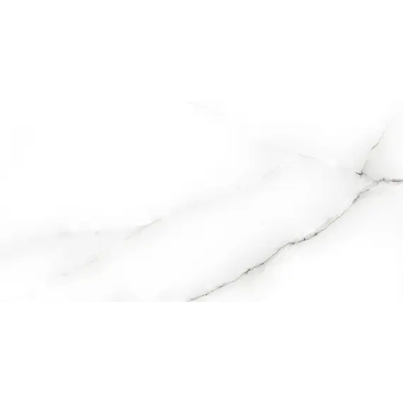 Плитка облиц. Tonic GT Серый  50*25